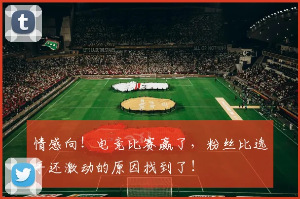 情感向！电竞比赛赢了，粉丝比选手还激动的原因找到了！