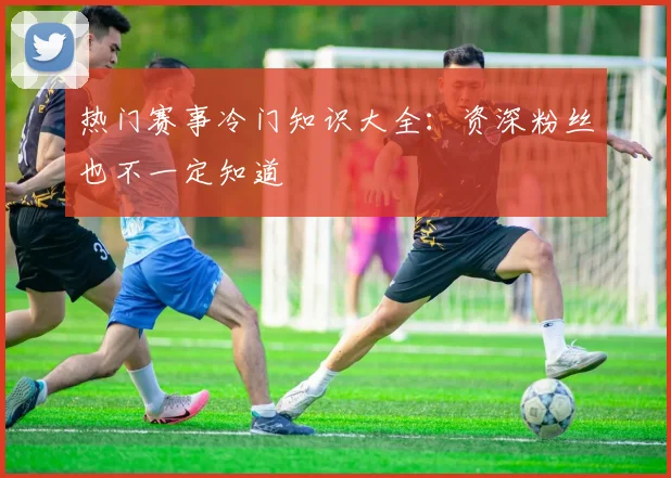 热门赛事冷门知识大全：资深粉丝也不一定知道