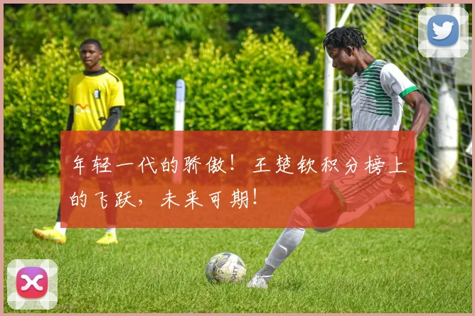 年轻一代的骄傲！王楚钦积分榜上的飞跃，未来可期！