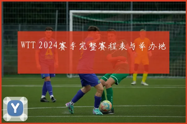 WTT 2024赛季完整赛程表与举办地