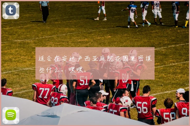 适合在安达卢西亚庭院花园里密谋些什么，嘿嘿。